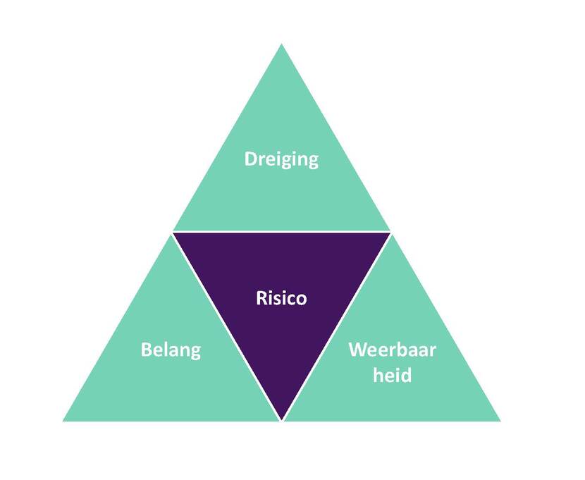 Overzicht voor het identificeren van risico's